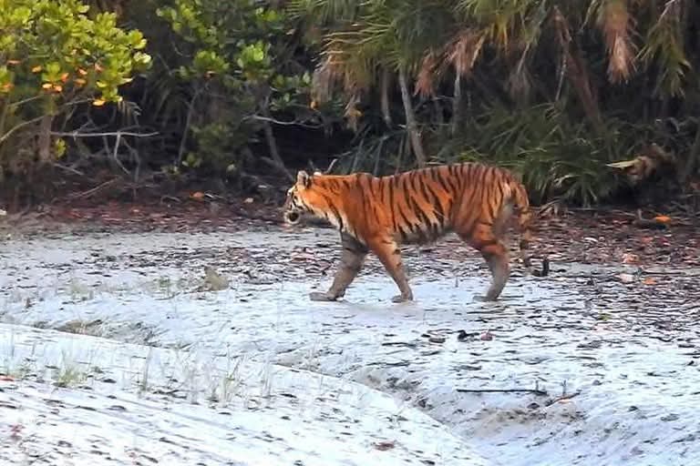 Sardar travels Image (16)