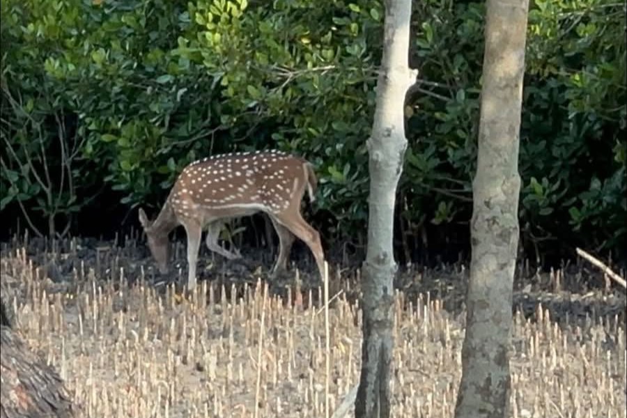 Sardar travels Image (17)